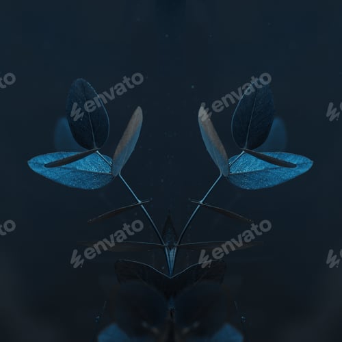 Preview: close up view of eucalyptus plant with green leaves in water