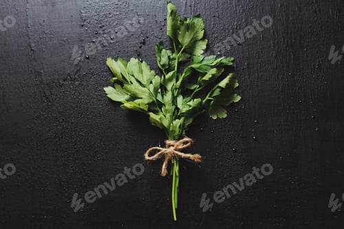 Preview: Parsley on a black background