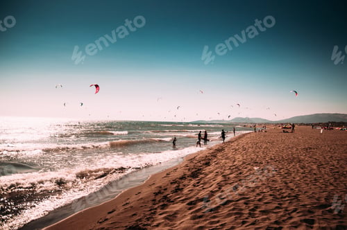 Preview: Kites flying on beach.