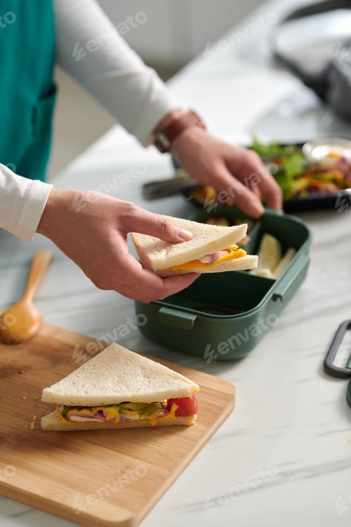 Preview: Woman Packing Sandwiches