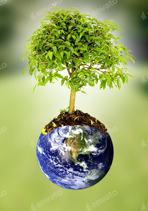 Preview: Save The Planet Image Composition With The Earth And A Tree Growing From It