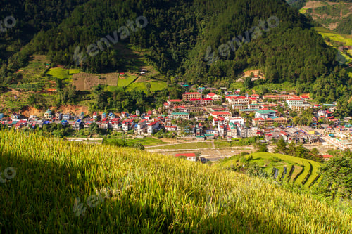 Preview: Green Rice fields on Terraced in Muchangchai, Vietnam Rice fields prepare the harvest at Northwest