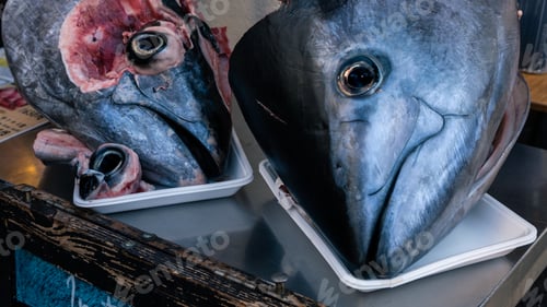 Preview: Asian merchant sale head and eyes of tuna in famous Tsukiji fish market of Japan