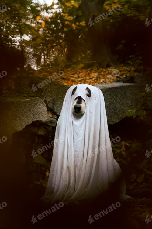 Preview: Dog in a ghost costume. Halloween concept