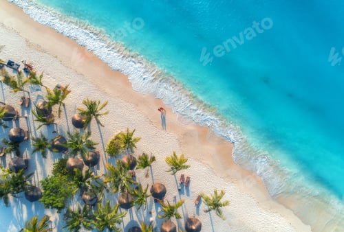 Preview: Aerial view of umbrellas, palms on the sandy beach and sea