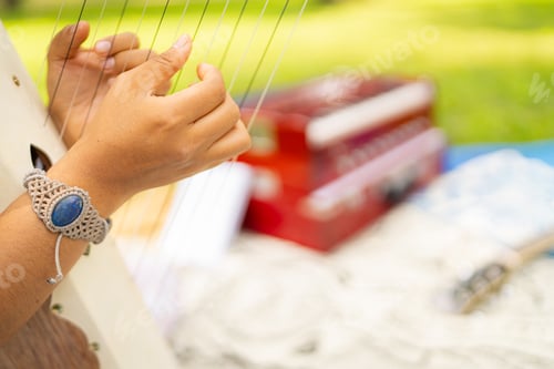 Preview: Hands delicately playing a harp in the park