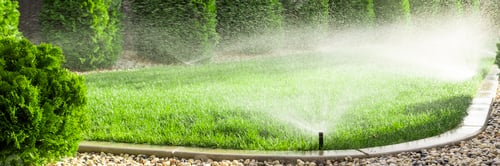 Preview: Watering lawn