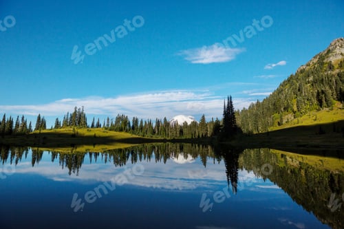 Preview: Mt Rainier