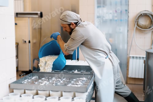 Preview: cheese maker pours fresh cheese into molds for making brie cheese craft cheese production