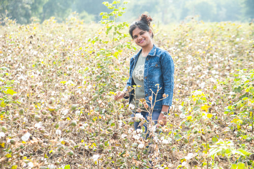 Preview: Young girl cotton in a cotton field.