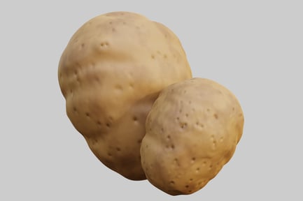 Paire de pommes de terre authentiques dans un cadre rustique