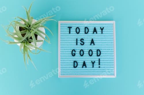 Preview: Motivational words on blue letter board and background with succulent. Self care morning positivity