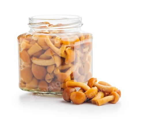 Preview: Pickled nameko mushrooms.Traditional japanese mushrooms isolated on white background.