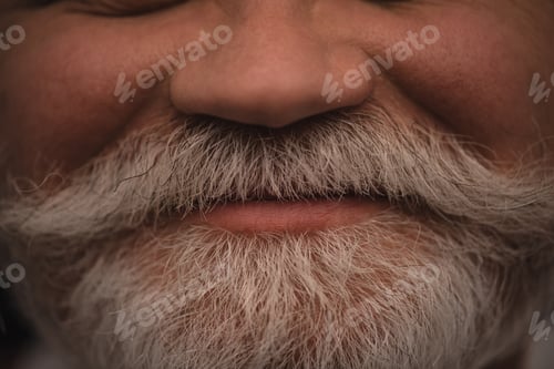 Preview: cropped shot of smiling senior man with grey beard