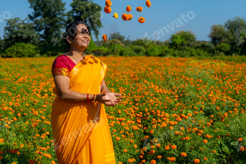 Preview: Indian woman collect marigold flower in beautiful garden.