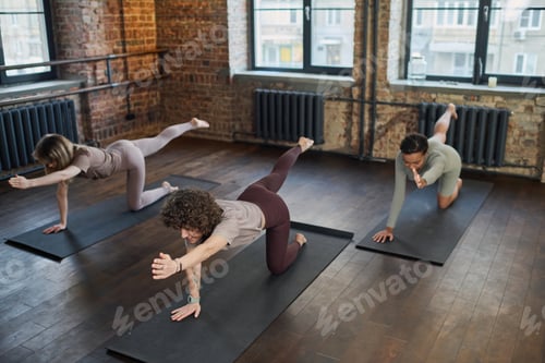 Preview: Fit women practicing stretching exercise