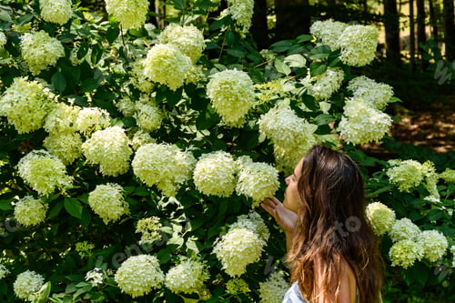 Preview: Portrait of young woman smelling flowers in garden.