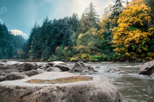 Preview: River in forest low angle