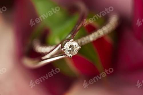 Preview: Macro shot of wedding rings on the leaves of a flower