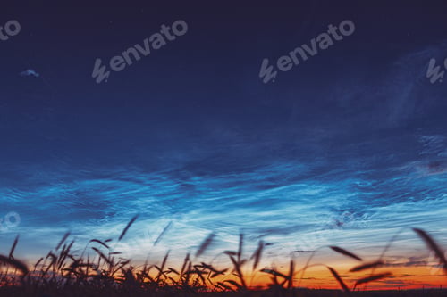 Preview: Night Starry Sky With Glowing Stars Above Countryside Landscape. Noctilucent Clouds Above Rural