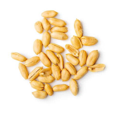 Preview: Roasted peeled peanuts isolated on white background.