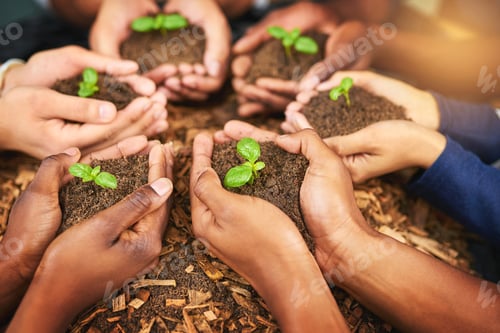 Preview: Success starts with a tiny little seed