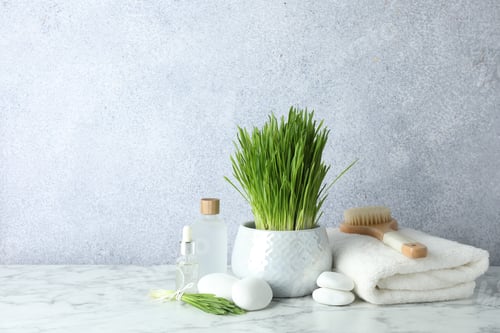 Preview: Spa composition with wheatgrass on white marble table. Space for text