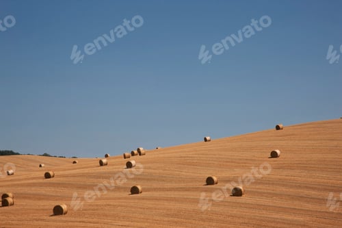 Preview: View of straw bales in harvested cornfield, Pienza, Val D'Orcia, Tuscany, Italy