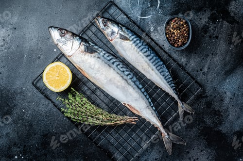 Preview: Fresh Raw mackerel scomber fish ready for grilling. Black background. Top view
