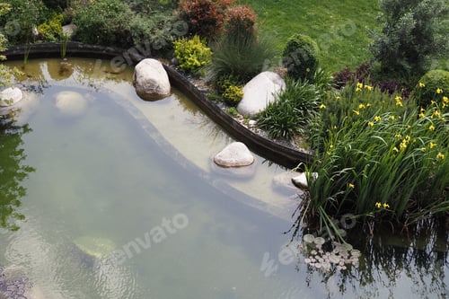 Preview: Decorative plants in a small pond with trees around