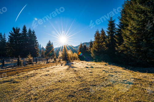 Preview: A house on the edge of the forest surrounded by evergreen trees against the backdrop of the sun and