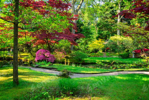 Preview: japanese garden in The Hague