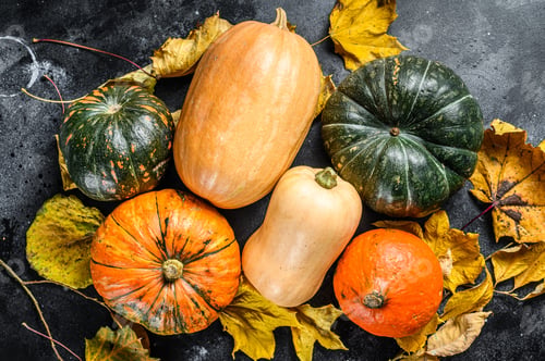 Preview: Diverse assortment of pumpkins on a table. Black background. Top view