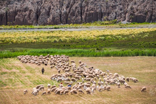 Preview: Sheep farmer in the Cachi Valley, Calchaqui Valleys, Salta Province, North Argentina, South America