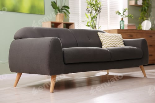 Preview: Feng shui. Stylish couch with cushion and houseplants indoors