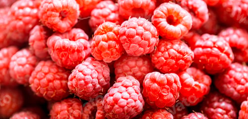 Preview: fresh raspberries macro shot