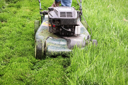 Preview: Clsoeup of a lawnmower cutting tall grass