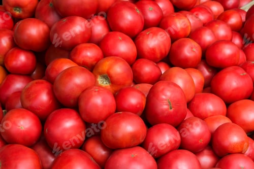 Preview: Healthy eating concept with ripe tomato