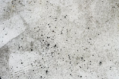 Preview: Background surface of wall with old paint and scratches