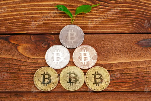 Preview: Golden bitcoin and green plant in soil