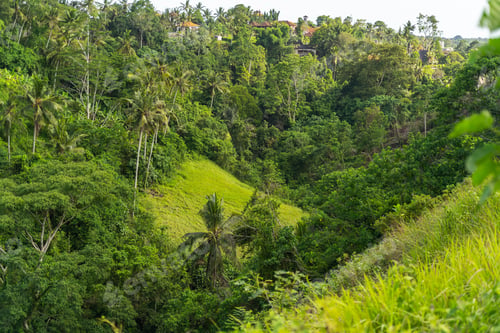 Preview: Green tropical hills with red roofs stock photo