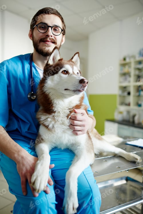 Preview: Vet with patient