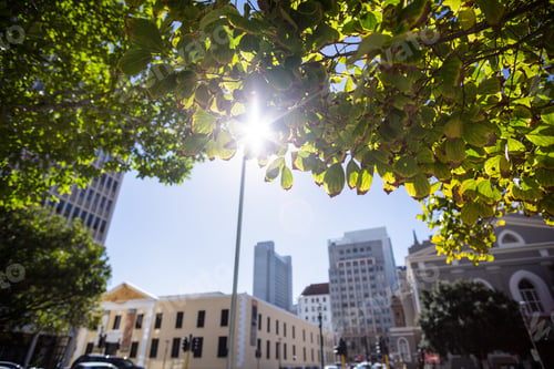 Preview: Sun shining over a city framed by green leaves