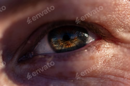 Preview: close up of a female eye