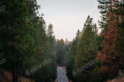 Preview: Scenic Route Yosemite