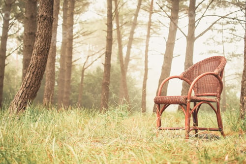 Preview: Red chair placed in the middle of the forest with trees half covered by fog.