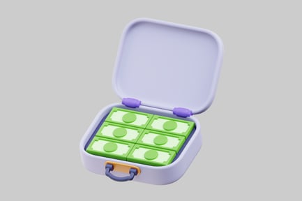 Preview: Money case with dollar stacks