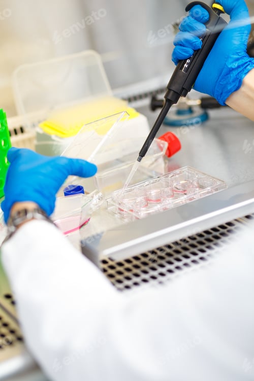 Preview: Close up of scientist hand during scientific experiment in laboratory.