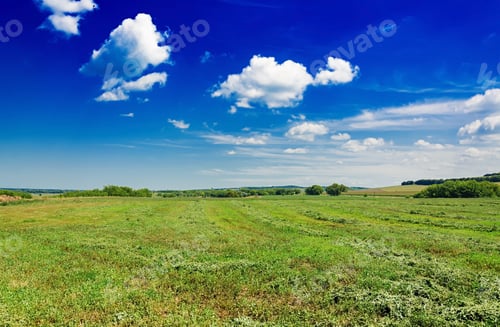 Aperçu: Champ d'été sur fond de ciel bleu. Paysage magnifique.