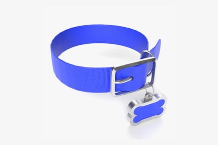 Preview: Blue Pet Collar with Bone-Shaped ID Tag